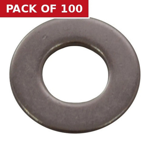 M10 SS Flat Washers   (100)