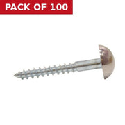 35mm x 8 CP Dome Mirror Screws   (100)