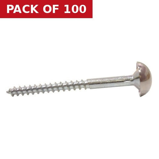 50mm x 8 CP Dome Mirror Screws   (100)