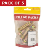 Expanding Projection Bolt - Zinc Plated - M10 x 60mm - (5 PK)