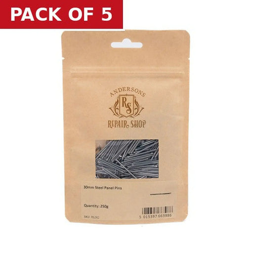Repair Shop Panel Pins - Steel - 30mm - 250g - Pack of 5