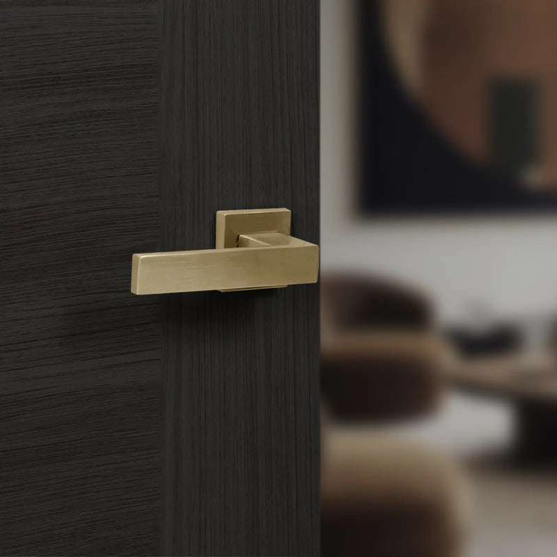 Atlantic Senza Pari Panetti Door Handle Pack (Euro Lock Set - 2.5" CE Sashlock, 3" Fire Rated Hinges x3)