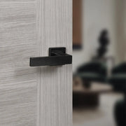 Atlantic Senza Pari Panetti Door Handle Pack (Euro Lock Set - 2.5" CE Sashlock, 4" Fire Rated Hinges x3)