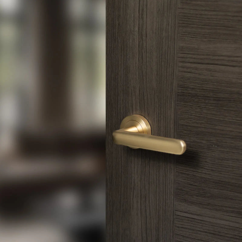 Atlantic STATUS Carolina Door Handle Pack (Euro Lock Set - 2.5" CE Sashlock, 3" Fire Rated Hinges x3)
