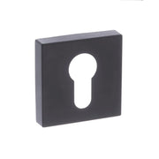 Atlantic STATUS Euro Escutcheons on S4 Square Rose