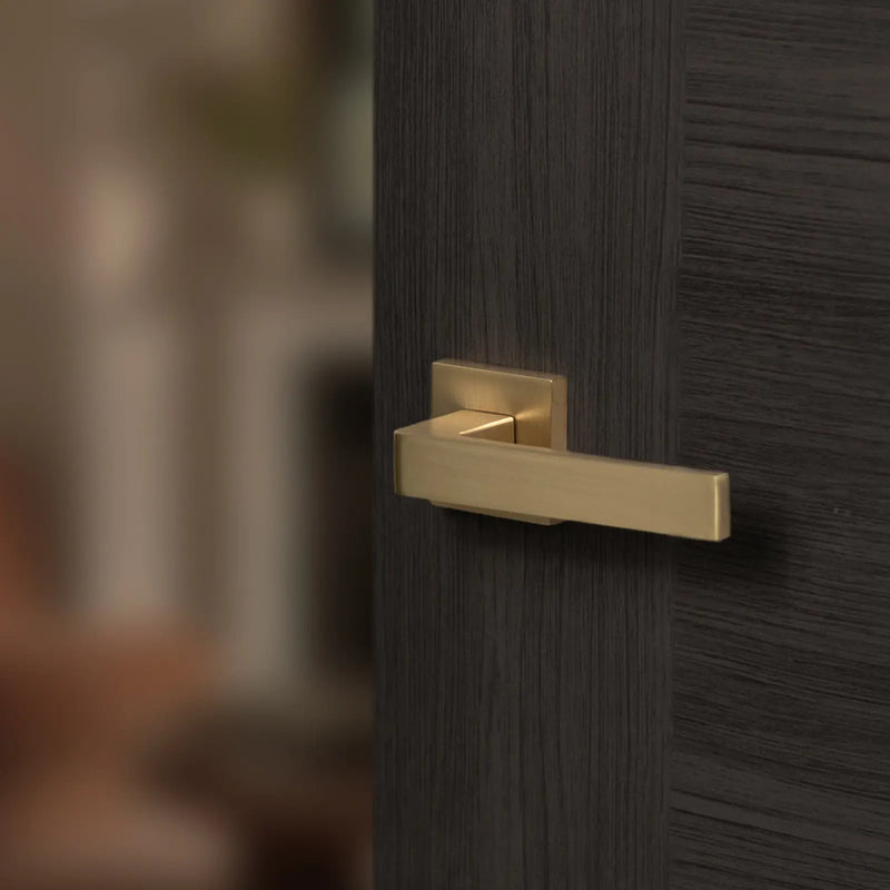 Atlantic STATUS Montana Door Handle Pack (Euro Lock Set - 2.5" CE Sashlock, 4" Slim Knuckle Hinges x2)