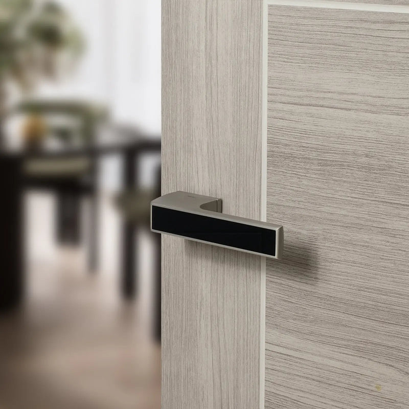 Atlantic Tupai Rapido VersaLine Tobar Lever Door Handle on Long Rose