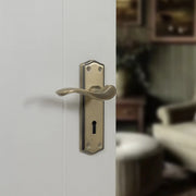 Atlantic Old English Warwick Door Handle Pack (Latch Set - 2.5" CE Latch, 4" Fire Rated Hinges x3)